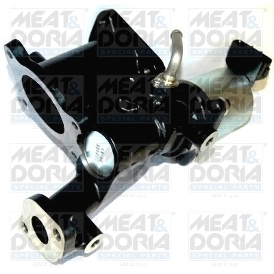 EGR Valve